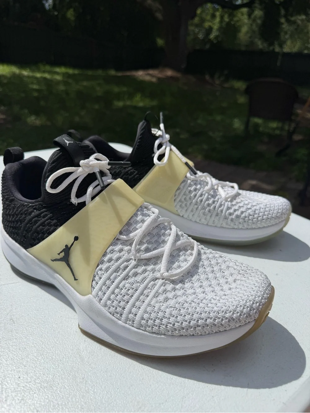 Air Jordan Trainer 2 Flyknit Men’s 12